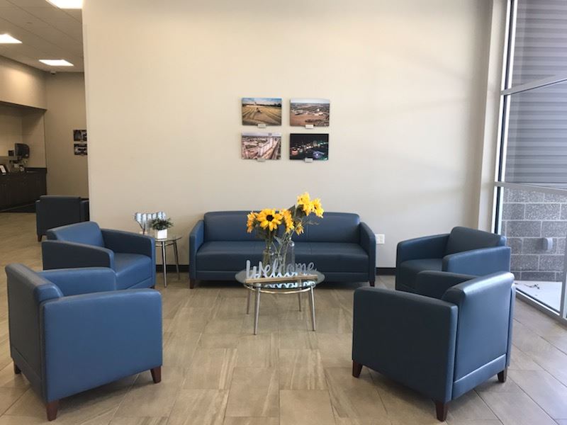 A lobby scene showcasing blue couches paired with cheerful sunflowers